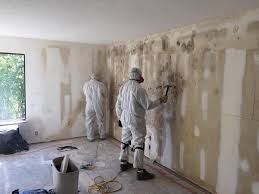 Professional Mold Remediation in Matamoras, OH